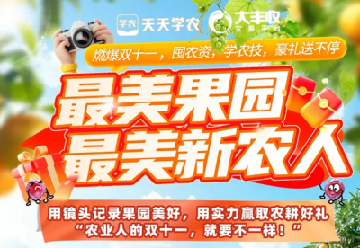 丰农控股2025年 &ldquo;最美果园&rdquo;&ldquo;最美新农人&rdquo; 评选活动启动，助力农业风采展示