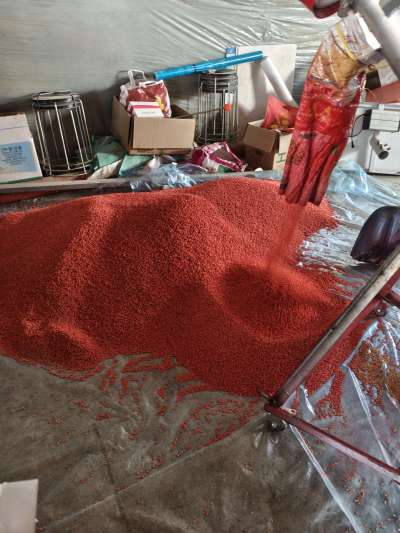 四冠包衣拌种，防虫防病壮苗增产。