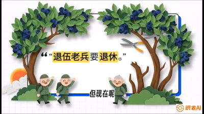 第7节：修剪决定产量（下）&mdash;&mdash;结果树的更新与疏果，课程：《蓝莓&ldquo;高产&rdquo;实战课：从选苗到丰收的10个关键点》