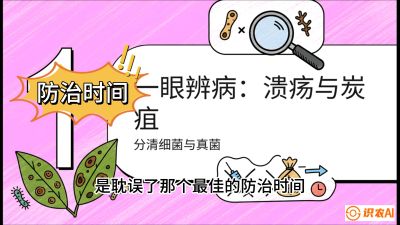 第三节：细菌与真菌&mdash;&mdash;溃疡病与炭疽病，课程：《柑橘十大病虫害：从入门到精通》