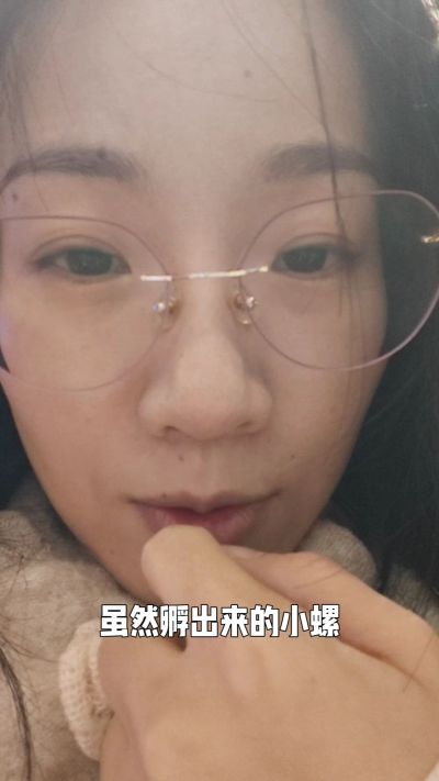 我那些很笨的江苏农资同事