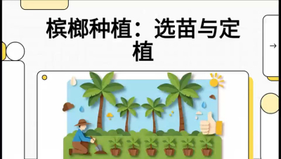 第01节：选苗与定植&mdash;&mdash;&ldquo;苗好一半收，底肥定千秋&rdquo;课程：《槟榔种植：从不懂到精通的10堂必修课》