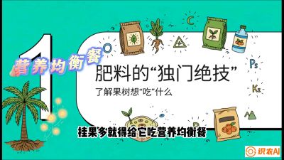 第07节：科学施肥&mdash;&mdash;&ldquo;氮磷钾配好，树壮果不倒