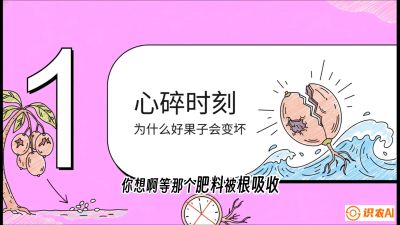 第08节：微量元素与保果&mdash;&mdash;&ldquo;补硼又补钙，果子不裂坏&rdquo;《槟榔种植：从不懂到精通的10堂必修课》