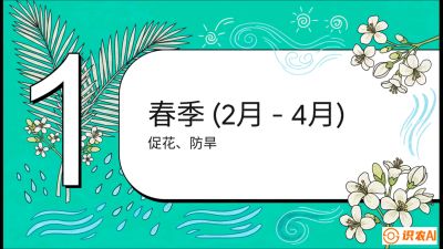 第10节：周年农事日历&mdash;&mdash;&ldquo;跟着节气走，丰产在手头&rdquo;《槟榔种植：从不懂到精通的10堂必修课》