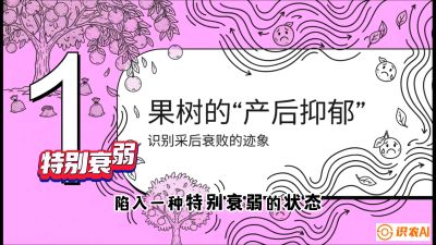 第2节：【冬肥策略】采后&ldquo;月子肥&rdquo;：大小年的精准干预术，课程：《柑橘底肥&ldquo;翻身账&rdquo;：从改土到高产的实战全书》