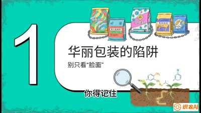 第4节：【黄金配方】底肥里的&ldquo;铁三角&rdquo;与&ldquo;微量雷区&rdquo;课程：《柑橘底肥&ldquo;翻身账&rdquo;：从改土到高产的实战全书》