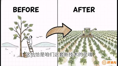 第02节：把树变成草&mdash;&mdash;&ldquo;草本化密植&rdquo;技术，课程：《桑海淘金：桑树高产与蚕桑安全进阶实战课》