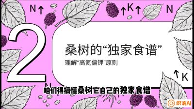 第04节：地下核动力&mdash;&mdash;桑树专用水肥一体化配方，课程：《桑海淘金：桑树高产与蚕桑安全进阶实战课》