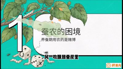 第06节：虫口夺叶（上）&mdash;&mdash;物理与生物防控绝技，课程《桑海淘金：桑树高产与蚕桑安全进阶实战课》