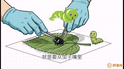 第07节：虫口夺叶（下）&mdash;&mdash;不得不打药时的&ldquo;解毒术&rdquo;，课程：《桑海淘金：桑树高产与蚕桑安全进阶实战课》