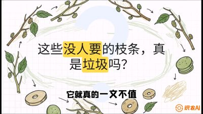 第12节：变废为宝&mdash;&mdash;循环农业实操，课程：《桑海淘金：桑树高产与蚕桑安全进阶实战课》