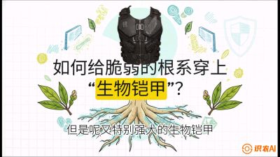 第三节：国产榴莲突围战：根系堡垒，菌根微生态构建与黄金定植窗口，课程：《国产榴莲突围战：从泰国经验到中国实操的8堂必修课（高阶实战版）》