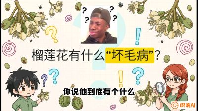 第六节：榴莲的午夜战事，夜间授粉战与花果期避雨策略，课程：《国产榴莲突围战：从泰国经验到中国实操的8堂必修课（高阶实战版）》