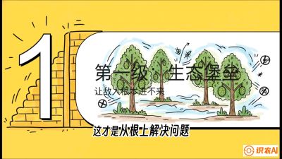 第七节：榴莲防御战：病虫害三级立体防控，疫霉菌与虫害的立体封锁线，课程：《国产榴莲突围战：从泰国经验到中国实操的8堂必修课（高阶实战版）》