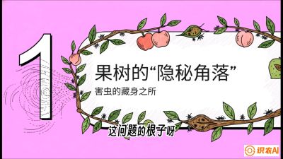 第3节：无人机专治&ldquo;打不透&rdquo;&mdash;&mdash;果树与高杆作物的穿透技巧，课程：《无人机植保搞钱必修课：从&ldquo;瞎飞&rdquo;到&ldquo;懂行&rdquo;的6步进阶》