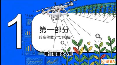 第5节：无人机也能&ldquo;看病抓药&rdquo;&mdash;&mdash;处方图与变量施肥入门，课程：《无人机植保搞钱必修课：从&ldquo;瞎飞&rdquo;到&ldquo;懂行&rdquo;的6步进阶》