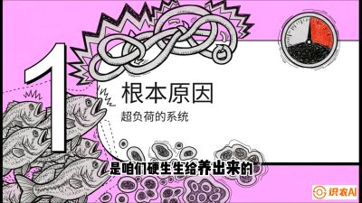第三节：【爆款单品&middot;加州鲈】从&ldquo;玻璃鱼&rdquo;到&ldquo;摇钱树&rdquo;的通关秘籍，课程：《黄金鳞甲：2025中国淡水鱼高效养殖实战营》