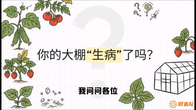 第2节（解毒篇）： 大棚里的&ldquo;红白绿&rdquo;警报&mdash;&mdash;读懂土壤盐渍化的求救信号，课程：《揭秘土壤的秘密：让土地帮你赚钱》#识农AI