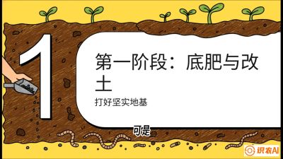 第6节（统筹篇）： 省钱又增产的&ldquo;黄金配比&rdquo;&mdash;&mdash;不同作物全年的养土实操方案，课程：《揭秘土壤的秘密：让土地帮你赚钱》#识农AI