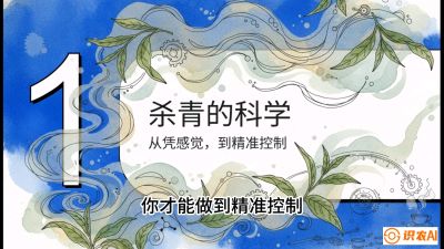 第05节（加工篇）：决胜2分钟：用&ldquo;数字温控&rdquo;破解杀青不匀，复刻大师级手工口感，课程：《茶金时代：从&ldquo;看天吃饭&rdquo;到&ldquo;精准控局&rdquo;的茶叶高产提质实战课》