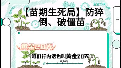 第2节：【苗期生死局】防猝倒、破僵苗，决定后期产量的&ldquo;黄金20天&rdquo;，课程：《辣椒种植实战特训营，从工业辣椒到精品小米辣，教你如何把&ldquo;草&rdquo;种成&ldquo;金&rdquo;》