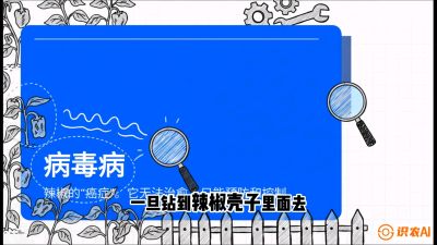 第5节：【病毒病阻击】辣椒的&ldquo;癌症&rdquo;怎么治？从&ldquo;绝收恐慌&rdquo;到&ldquo;带毒生产&rdquo;的逆转术，课程：《辣椒种植实战特训营，从工业辣椒到精品小米辣，教你如何把&ldquo;草&rdquo;种成&ldquo;金&rdquo;》