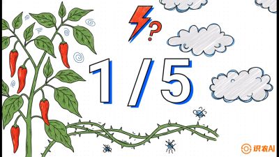 第6节：【花果爆发术】落花落果的五大元凶，与&ldquo;三喷一保&rdquo;坐果黑科技，课程：《辣椒种植实战特训营，从工业辣椒到精品小米辣，教你如何把&ldquo;草&rdquo;种成&ldquo;金&rdquo;》