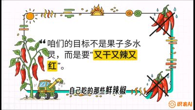 第7节：【工业辣椒专场】追求极致辣度！干物质提升与机械化采收的&ldquo;催红秘籍&rdquo;，课程：《辣椒种植实战特训营，从工业辣椒到精品小米辣，教你如何把&ldquo;草&rdquo;种成&ldquo;金&rdquo;》