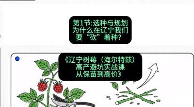 第一节： 选种与规划&mdash;&mdash;为什么在辽宁我们要&ldquo;砍&rdquo;着种？，课程：《辽宁树莓（海尔特兹）高产避坑实战课：从保苗到高价》