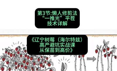 第三节： 懒人修剪法&mdash;&mdash;&ldquo;一推光&rdquo;平茬技术详解，课程：《辽宁树莓（海尔特兹）高产避坑实战课：从保苗到高价》