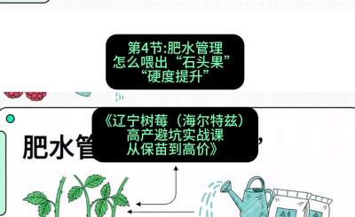 第四节： 肥水管理&mdash;&mdash;怎么喂出&ldquo;石头果&rdquo;（硬度提升），课程：《辽宁树莓（海尔特兹）高产避坑实战课：从保苗到高价》