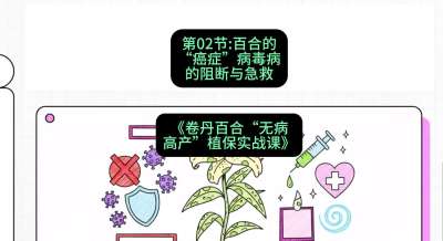 第02节：百合的&ldquo;癌症&rdquo;&mdash;&mdash;病毒病的阻断与急救，课程：《卷丹百合&ldquo;无病高产&rdquo;植保实战课》#识农AI