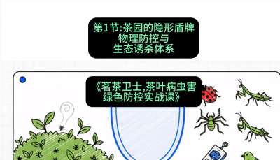 第01节：茶园的&ldquo;隐形盾牌&rdquo;&mdash;&mdash;物理防控与生态诱杀体系，课程：《茗茶卫士&mdash;&mdash;茶叶病虫害绿色防控实战课》#识农AI