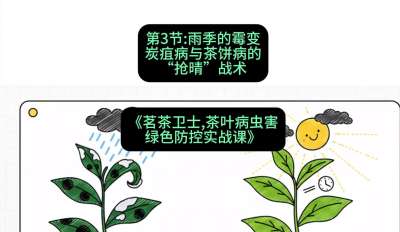 第03节：雨季的霉变&mdash;&mdash;炭疽病与茶饼病的&ldquo;抢晴&rdquo;战术，课程：《茗茶卫士&mdash;&mdash;茶叶病虫害绿色防控实战课》#识农AI