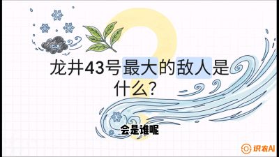 第04节：龙井双璧&mdash;&mdash;龙井43与群体种的差异化护养（重点），课程：《茗茶卫士&mdash;&mdash;茶叶病虫害绿色防控实战课》#识农AI