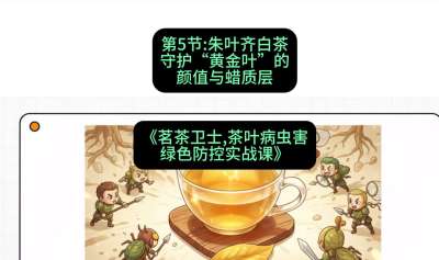 第05节：朱叶齐白茶&mdash;&mdash;守护&ldquo;黄金叶&rdquo;的颜值与蜡质层（重点），课程：《茗茶卫士&mdash;&mdash;茶叶病虫害绿色防控实战课》#识农AI