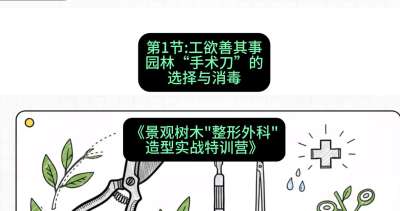第01节：工欲善其事&mdash;&mdash;园林&ldquo;手术刀&rdquo;的选择与消毒，课程：《景观树木&ldquo;整形外科&rdquo;造型实战特训营》#识农AI