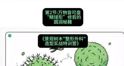 第02节：万物皆可盘&mdash;&mdash;&ldquo;精球形&rdquo;修剪的圆润秘籍，课程：《景观树木&ldquo;整形外科&rdquo;造型实战特训营》#识农AI