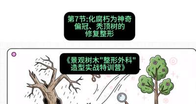第07节：化腐朽为神奇&mdash;&mdash;偏冠、秃顶树的修复整形，课程：《景观树木&ldquo;整形外科&rdquo;造型实战特训营》#识农AI